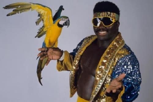 Koko B. Ware