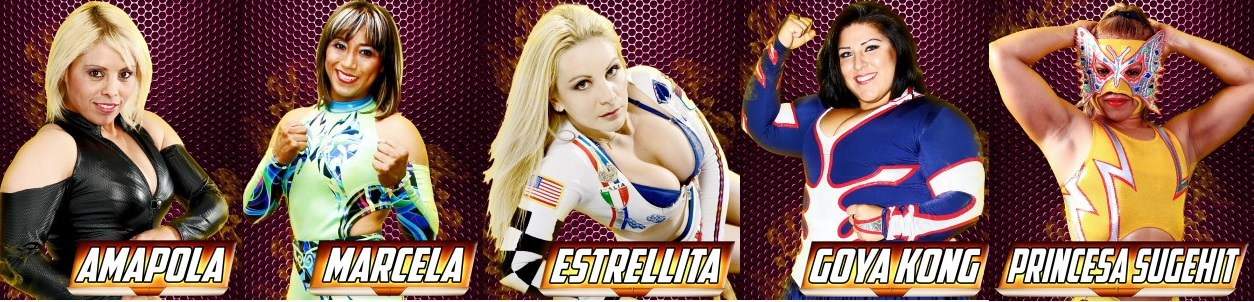 CMLL: Las Amazonas del Ring listas para el Torneo Cibernético Internacional 2 cibernetico1