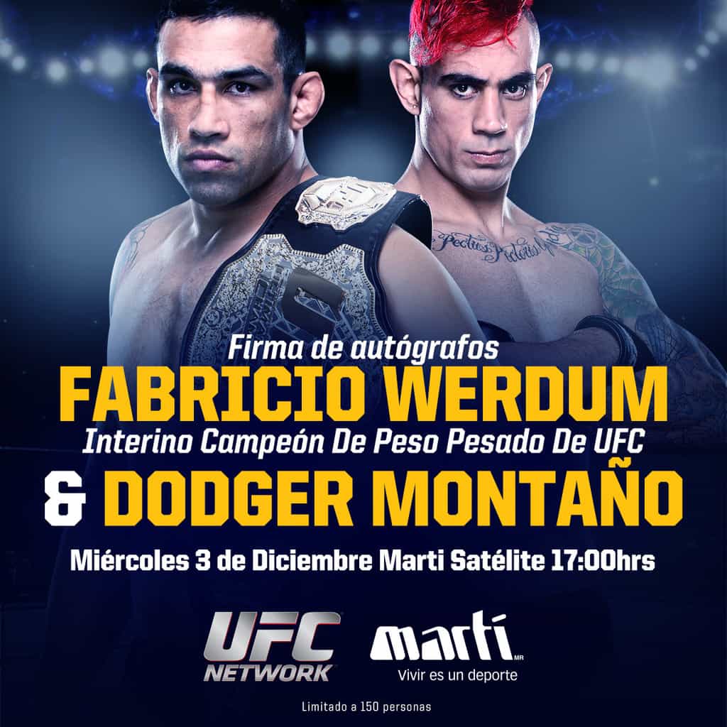 Gant De Combat Officiel UFC Signé Fabricio Werdum – BAS COA (autographe Original)