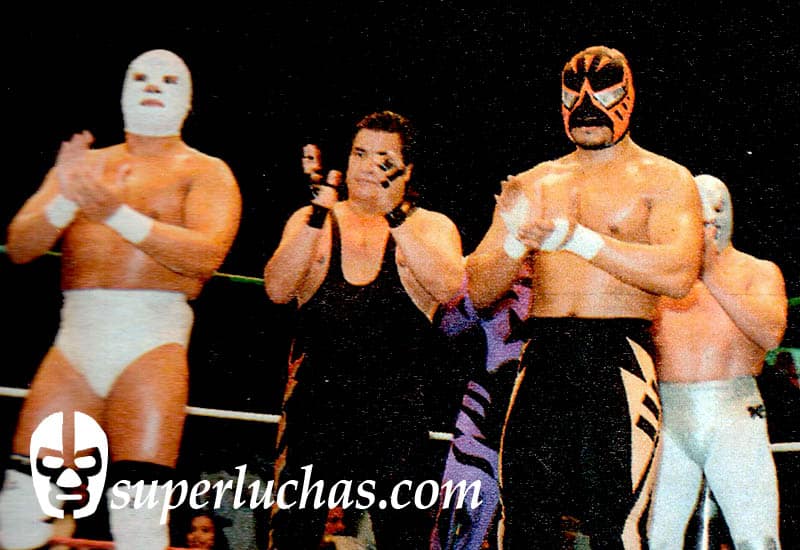Dr. Wagner Jr., Satánico, Felino , Black Warrior, Hijo del Santo