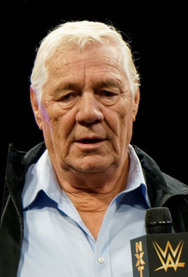 Pat Patterson - Image by Wikipedia.org