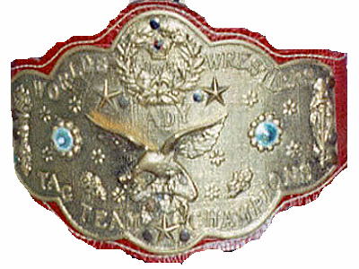 5 campeonatos que no sabías que existieron 2 Campeonato Femenil de Parejas WWF - Image by Wikipedia.org