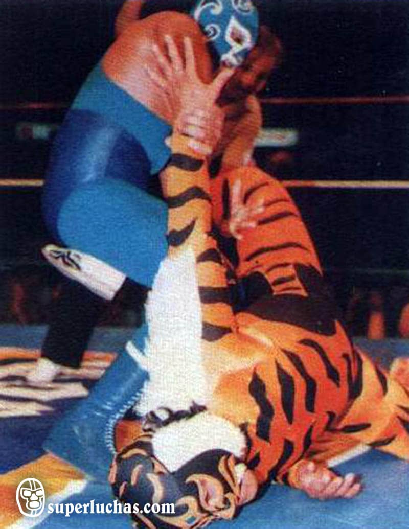 Ciclón Ramírez vs. Felino