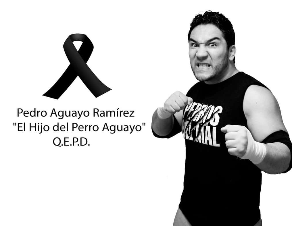 Tokyo Gurentai recuerda a Hijo del Perro Aguayo 2 El Hijo del Perro Aguayo (1979 - 2015)