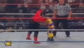 El Toritovs Max Mini