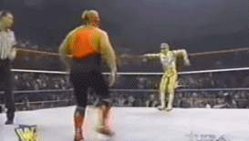 Mini Vader vs Mini Goldust