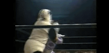 Pandita Chiquito vs Ultramancito