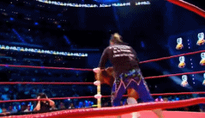 Triplemania 8