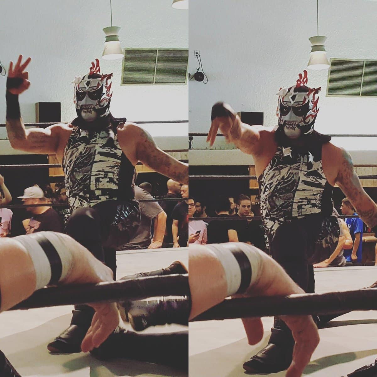 Battle of Los Angeles 2016: Tres noches de emoción, pasión y lucha libre 4 Crk36xNUkAAwTON