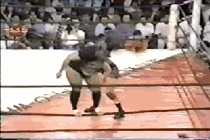 Un grupo de aficionados opina que Bull Nakano, excampeona CMLL y WWE, debe estar en el Salón de la Fama 3 tumblr_mbm1uckab01qjyr3go1_400