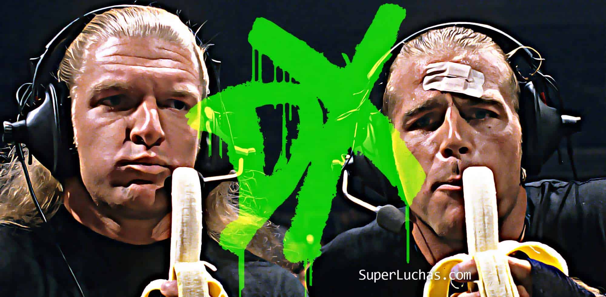 D-Generation X DX