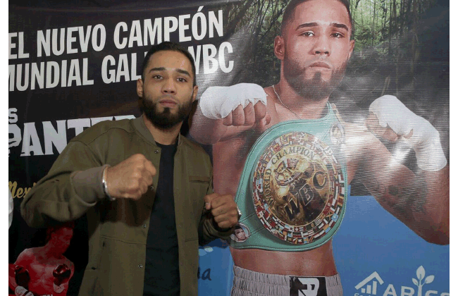 Pantera Nery noqueó a Juan Carlos Payano en Las Vegas 3 Pantera Nery noqueó a Juan Carlos Payano en Las Vegas 3