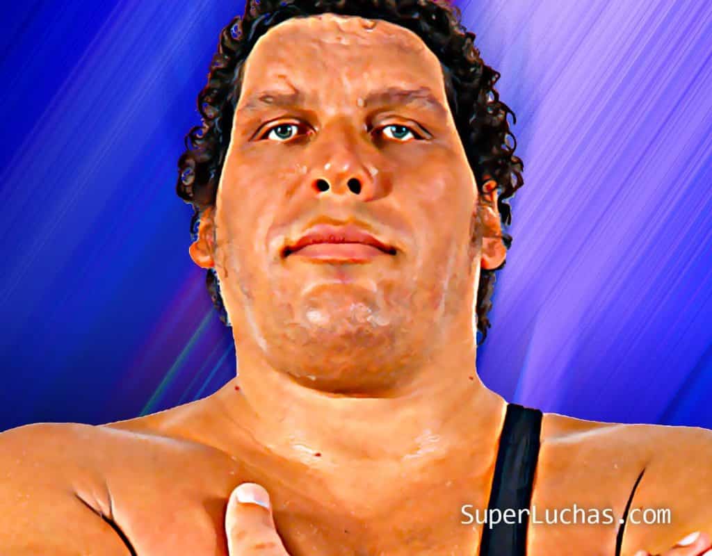 André el Gigante