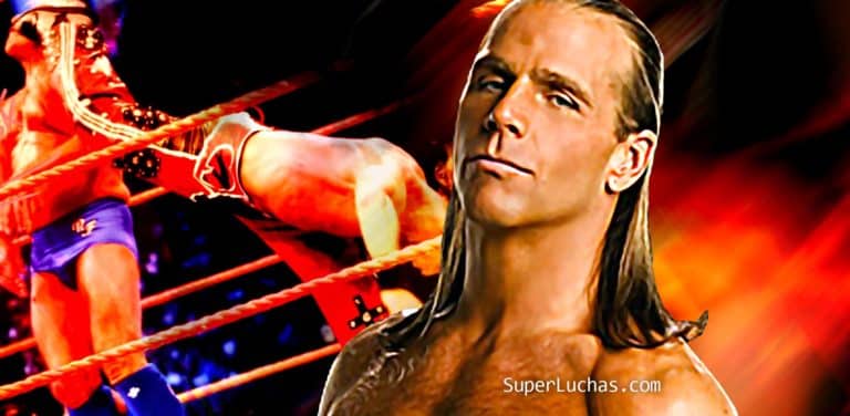 Shawn Michaels vs Ric Flair