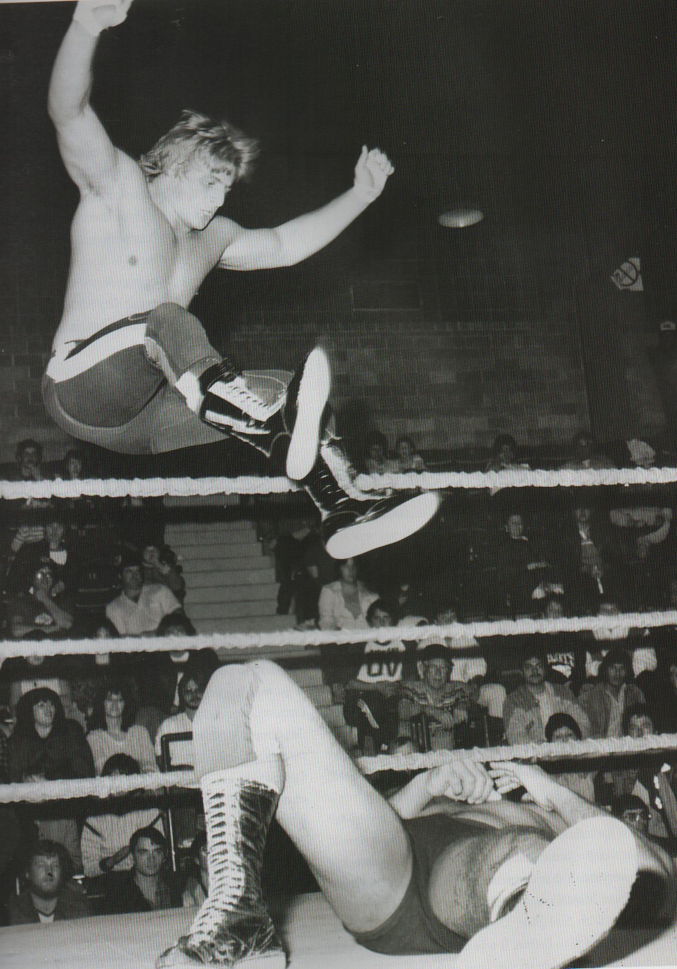 Recordando a Owen Hart A veinte años de su trágica muerte (I