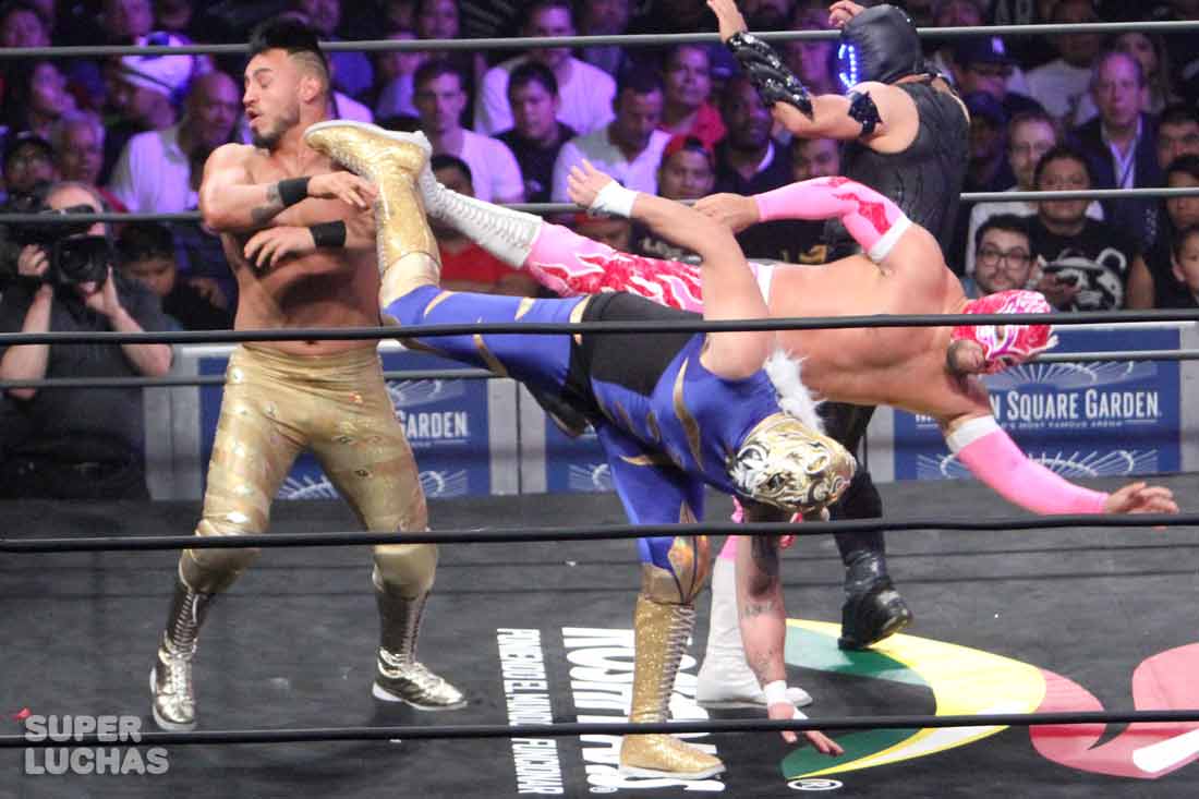 Ecos de AAA Invading New York: Galería gráfica 3 Daga vs. Puma King