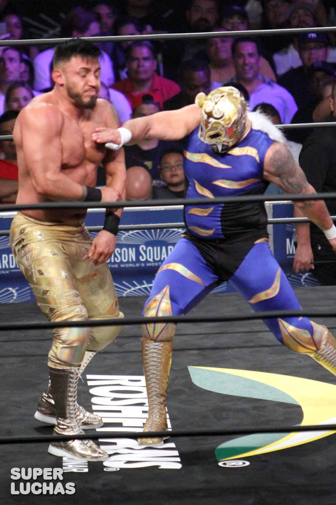 Ecos de AAA Invading New York: Galería gráfica 5 Daga vs. Puma King