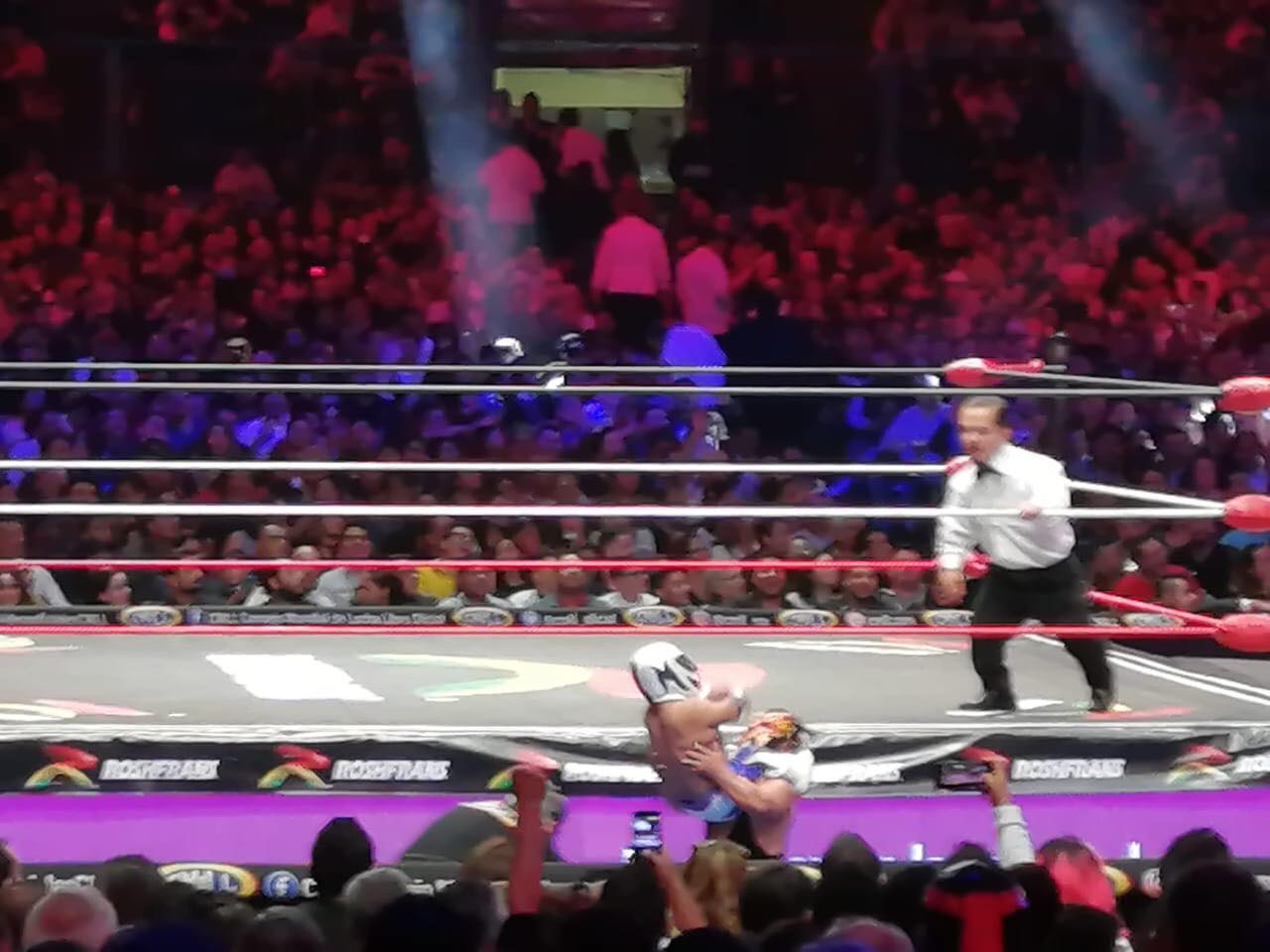 CMLL Aniversario 86 (27 de septiembre 2019) | Resultados en vivo | 7 cabelleras en juego 16 CMLL Aniversario 86 (27 de septiembre 2019) | Resultados en vivo | 7 cabelleras en juego 11