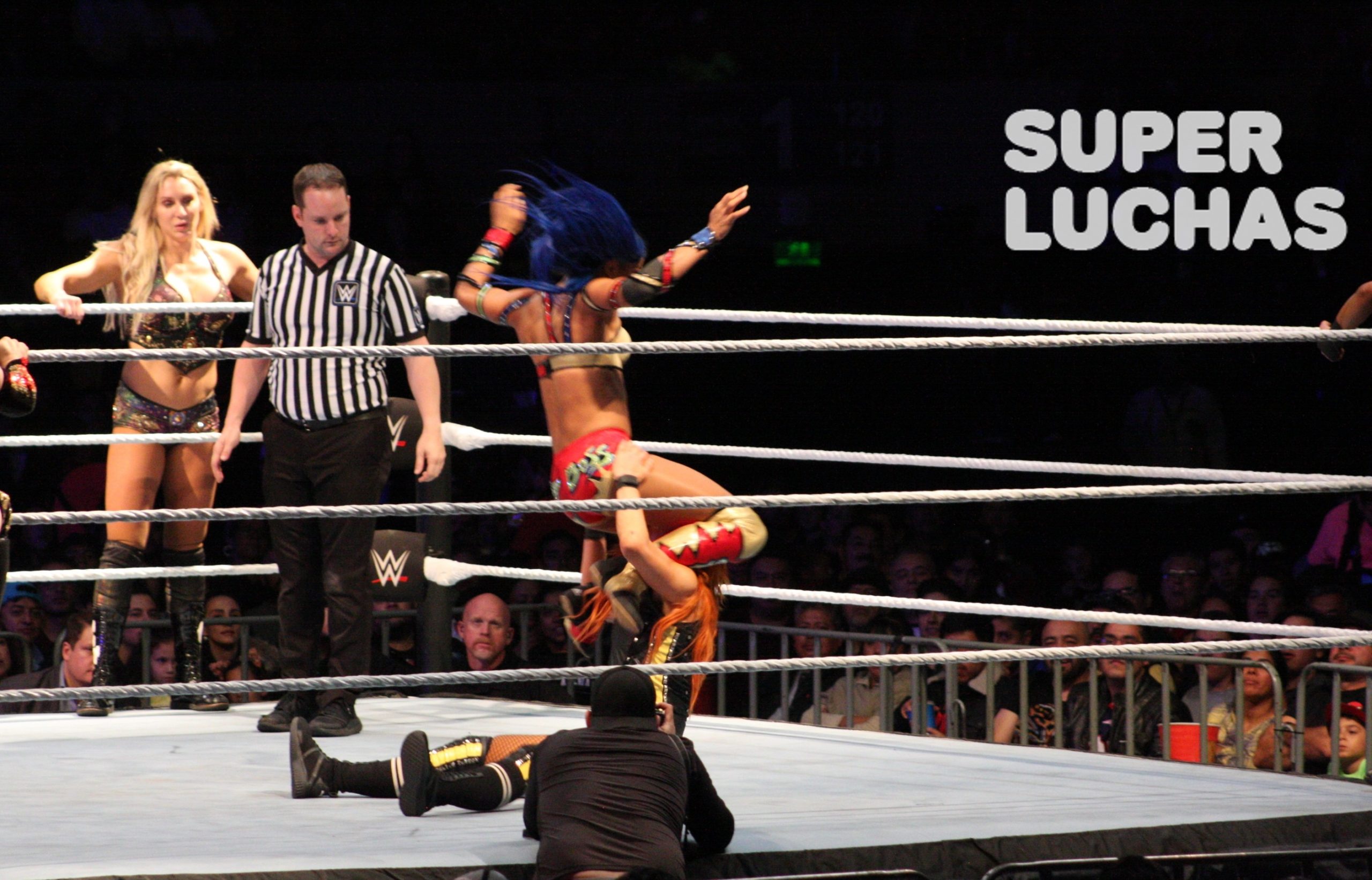 WWE en México: Galería y resultados 30/11/19 9 WWE en México: Galería y resultados 30/11/19 7
