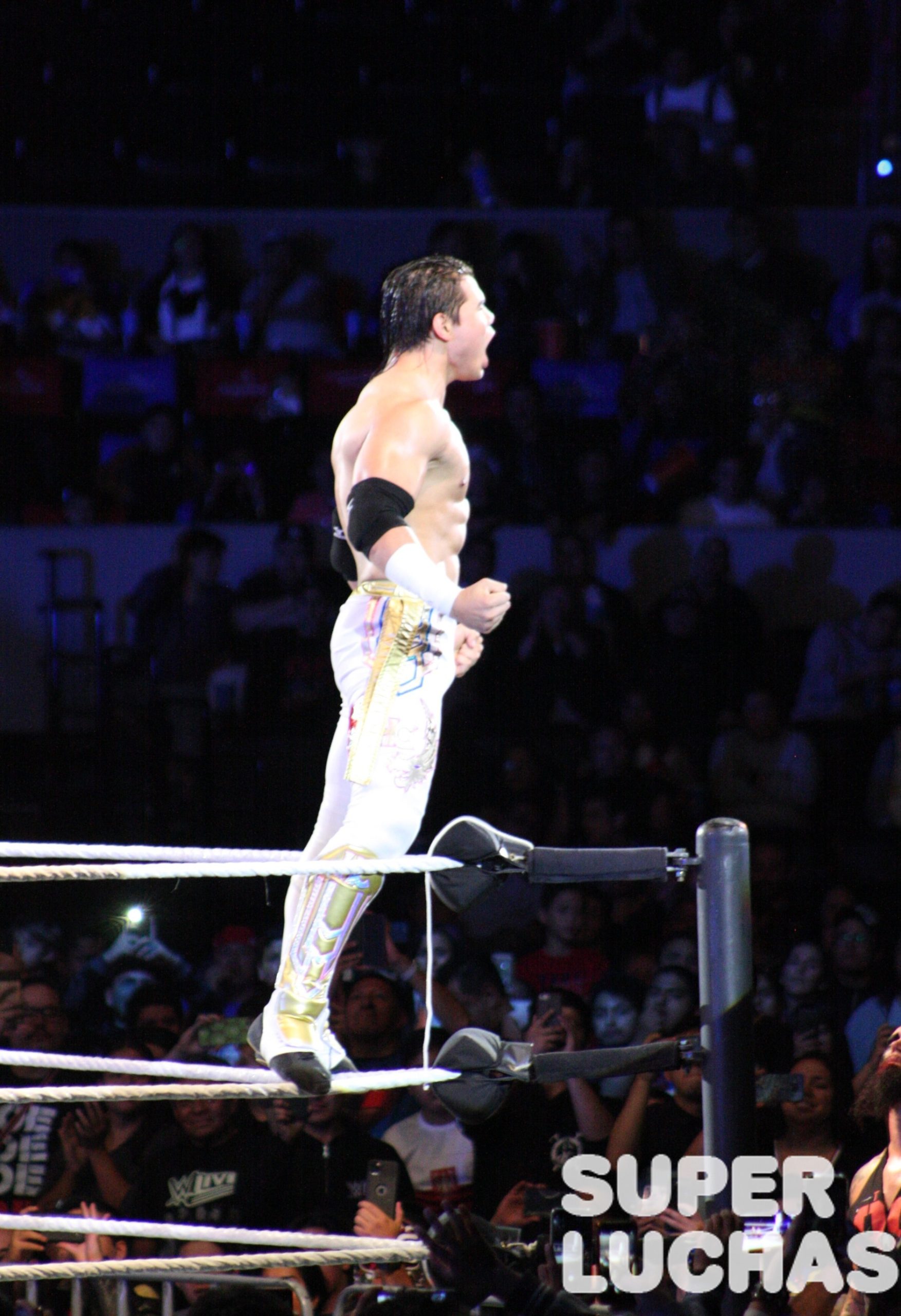 WWE en México: Galería y resultados 30/11/19 22 WWE en México: Galería y resultados 30/11/19 20