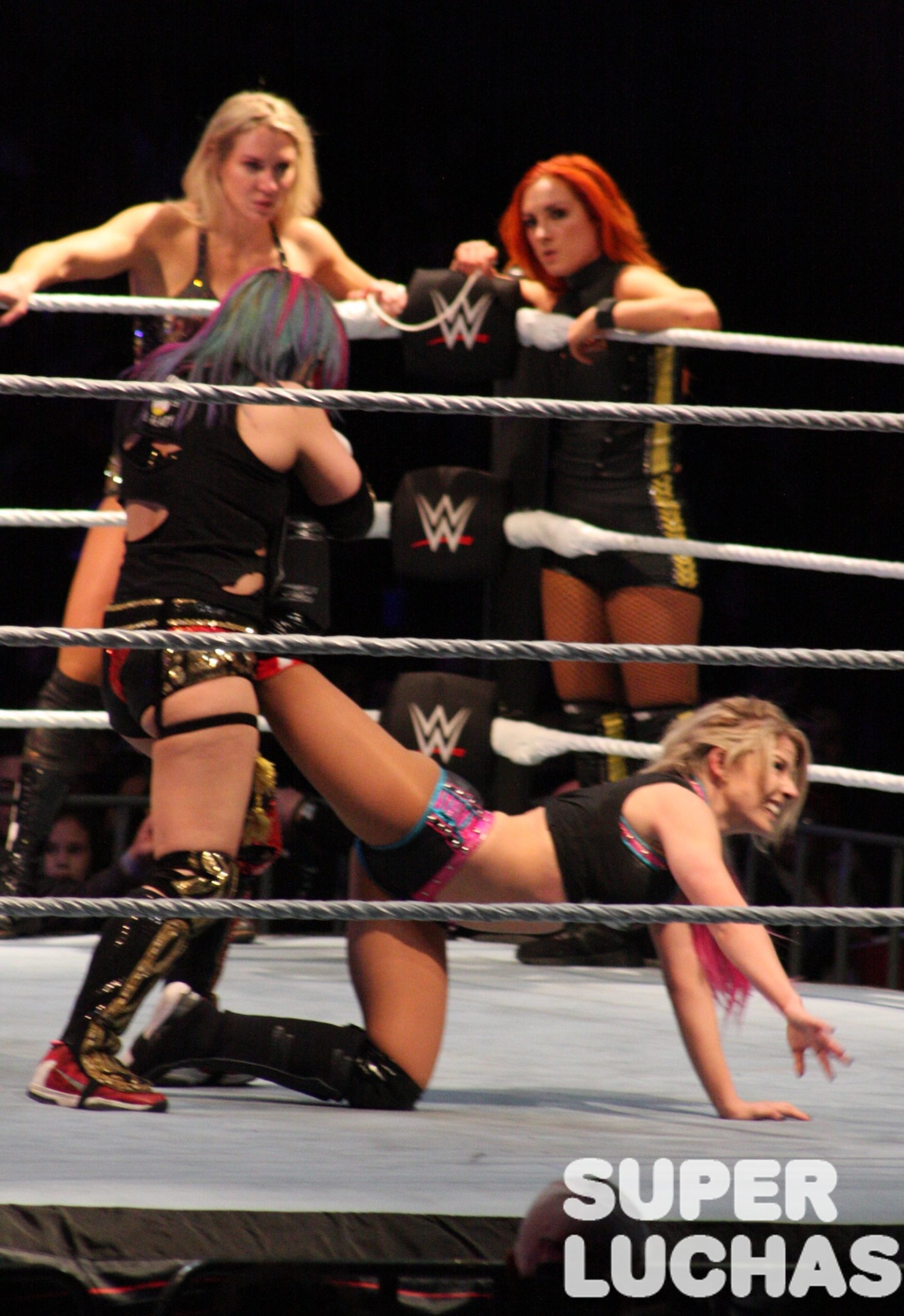 WWE en México: Galería y resultados 30/11/19 35 WWE en México: Galería y resultados 30/11/19 33