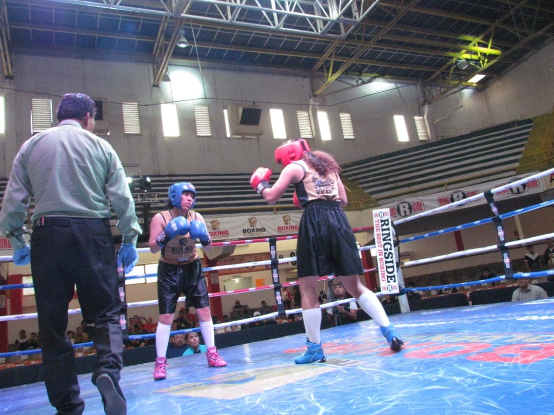 Tapatía Corza ganó el Boxing Golden Gloves 1 Tapatía Corza ganó el Boxing Golden Gloves 1