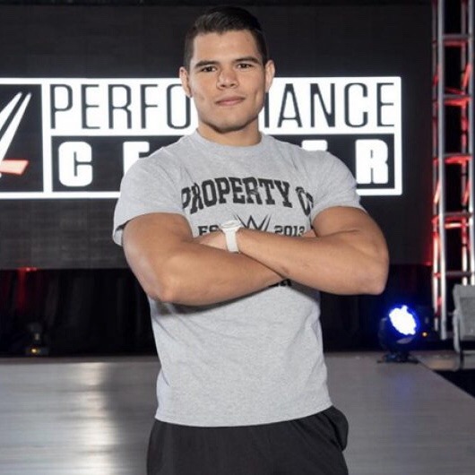 Lista completa de Superestrellas seleccionables para el WWE Draft 1 WWE Draft