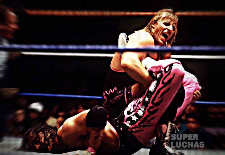 Bret Hart vs Owen Hart