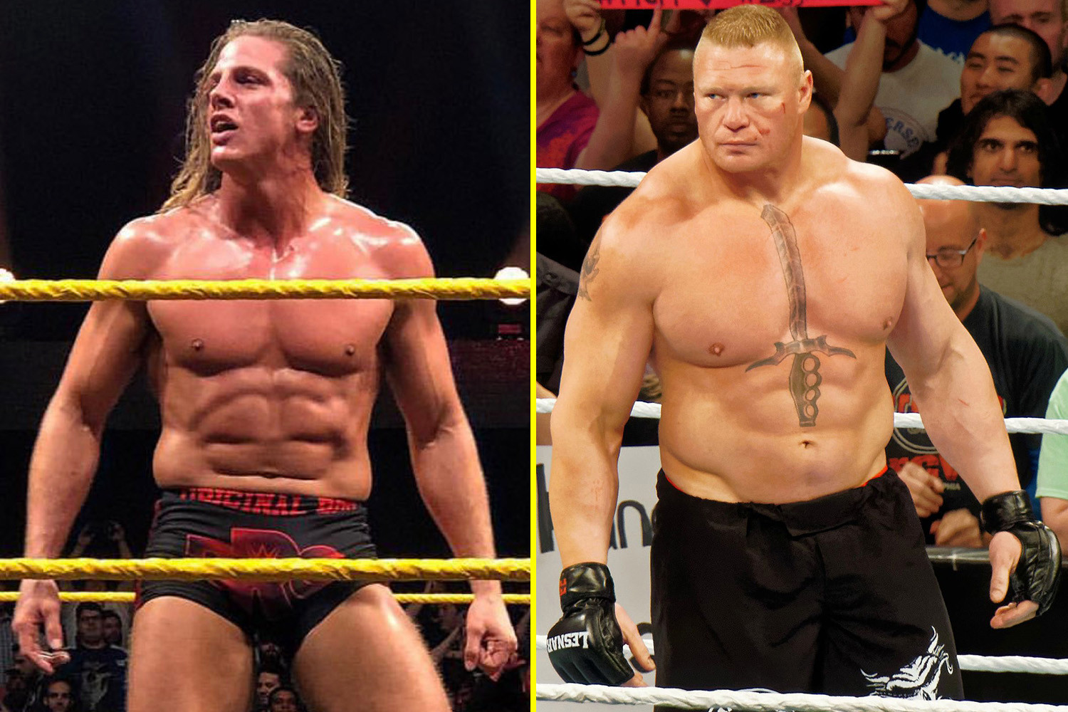 Brock Lesnar rechazó a Matt Riddle y este quedó con el corazón roto 1 molestia con Matt Riddle en WWE Brock Lesnar rechazó a Matt Riddle