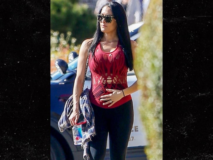 Nikki Bella envía un mensaje de unidad ante las protestas por la muerte de George Floyd 1 Nikki Bella embarazada / TMZ.com Nikki Bella envía mensaje a los fans