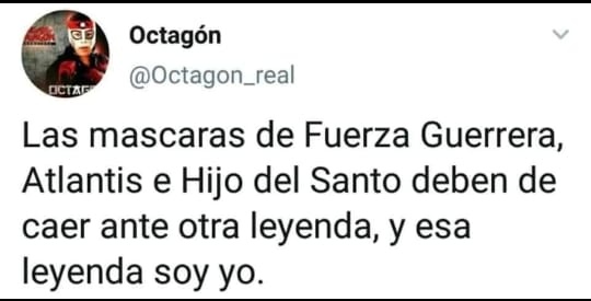 Octagón, Fuerza Guerrera, Atlantis, Hijo del Santo