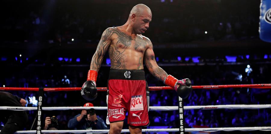 Miguel Cotto