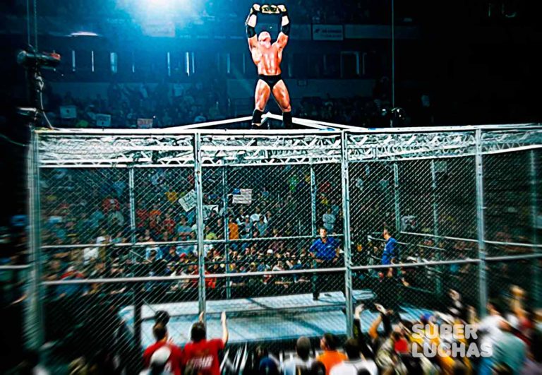Brock Lesnar Hell in a Cell