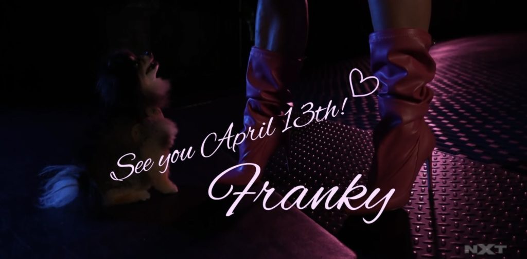 Taya Valkyrie sería ahora Franky Monet en NXT
