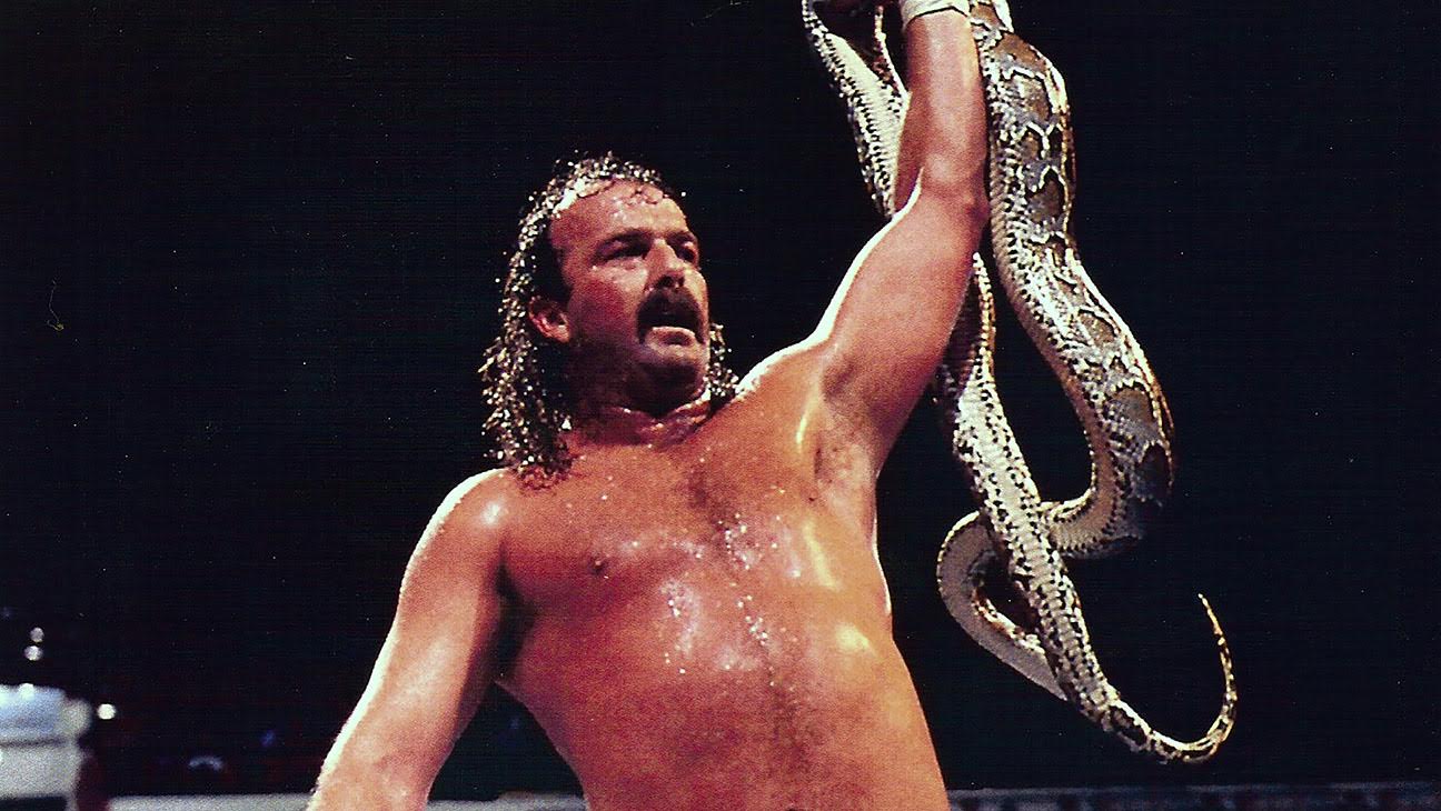 Jake " The Snake" Roberts