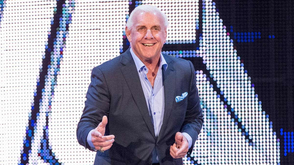 Ric Flair / WWE