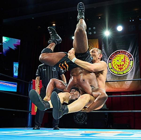 njpw usa 121122