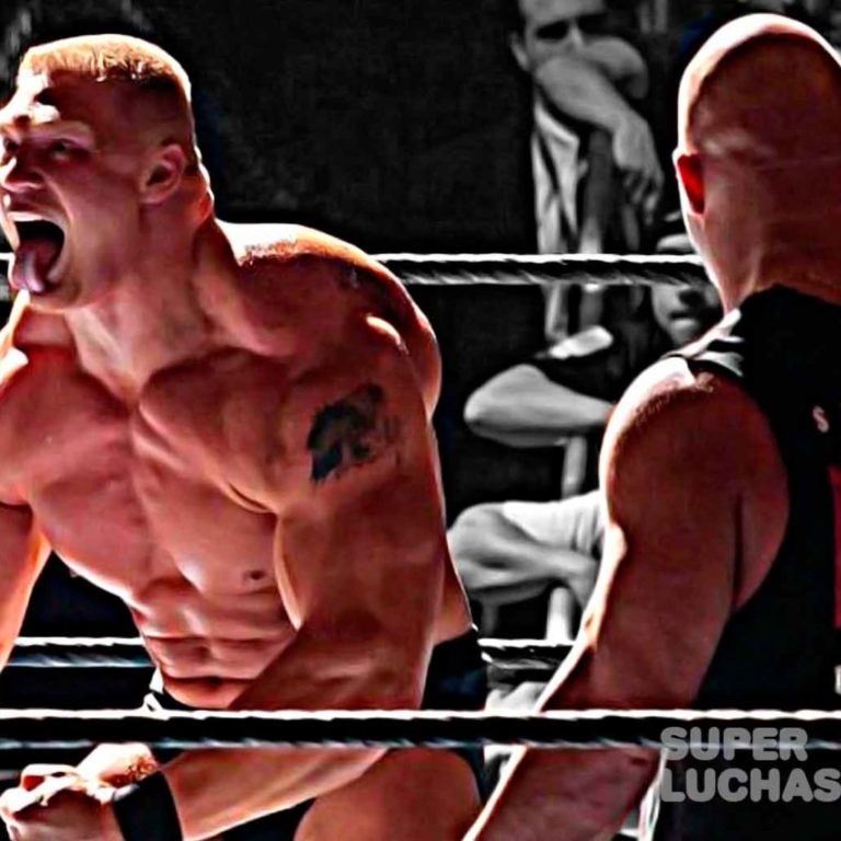 Brock Lesnar Steve Austin