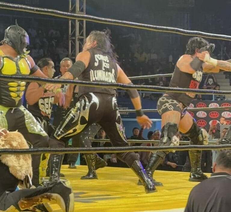 Superluchas - La Secta, un formidable grupo de luchadores conocidos como Vipers, libran intensas batallas dentro de un ring de lucha libre.