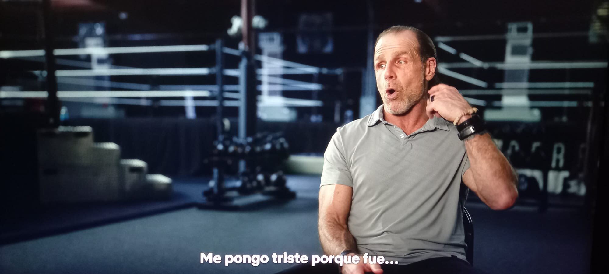 Shawn Michales Mr. McMahon Netflix