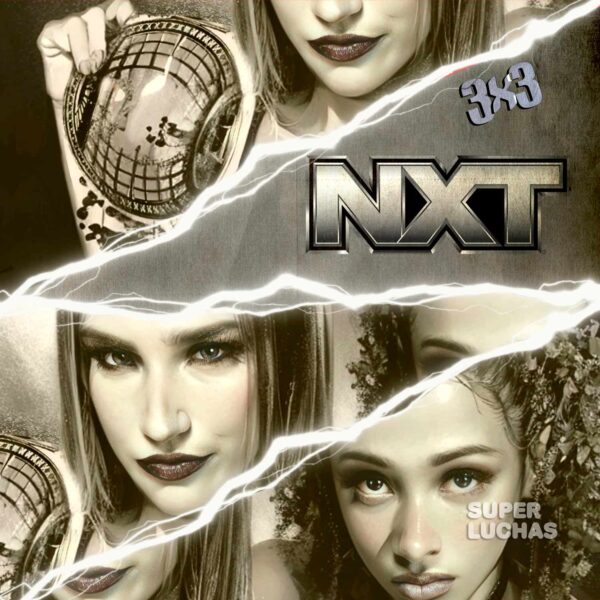 3x3 WWE NXT 12 de noviembre 2024 | Fallon Henley vs. Kelani Jordan