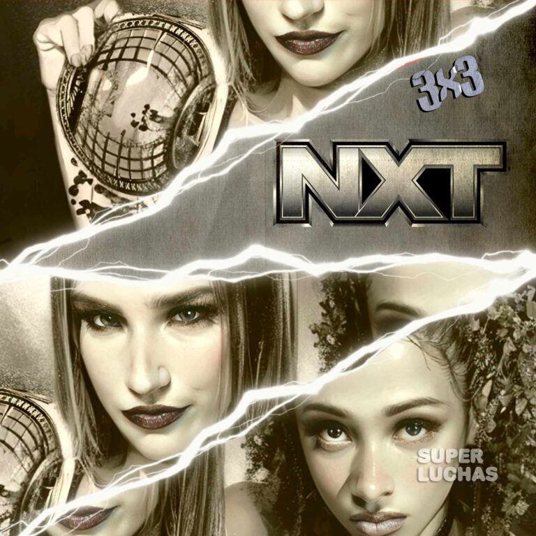 3x3 WWE NXT 12 de noviembre 2024 | Fallon Henley vs. Kelani Jordan