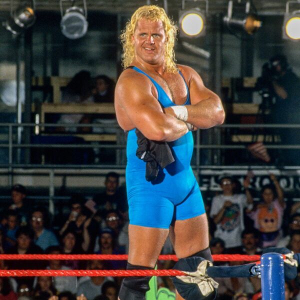 Mr. Perfect WWE