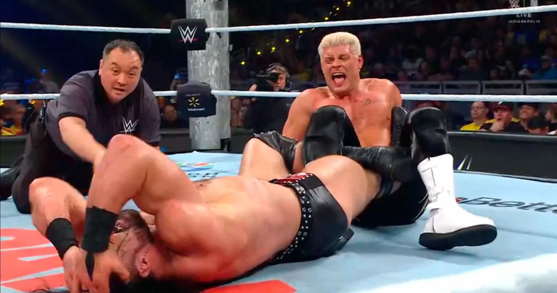 WWE Wrestlepalooza 2025.