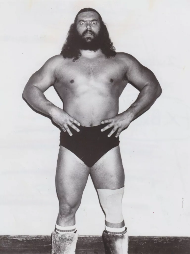 Bruiser Brody