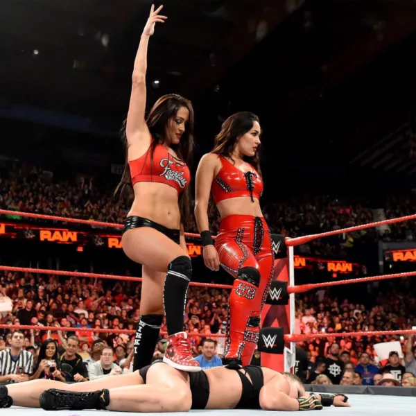 Nikki y Brie Bella en WWE