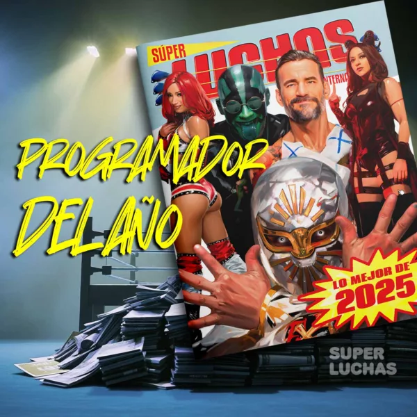 Lo mejor de 2025, Programador