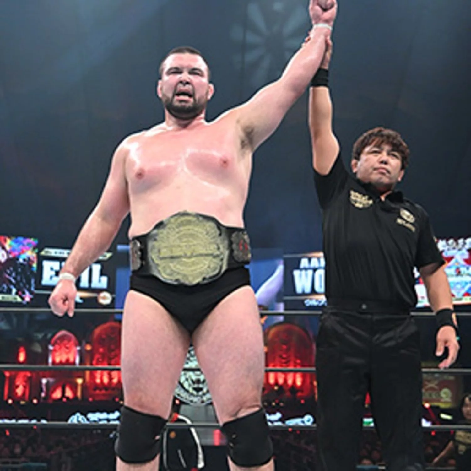 Comparing the World of Judo and Professional Wrestling