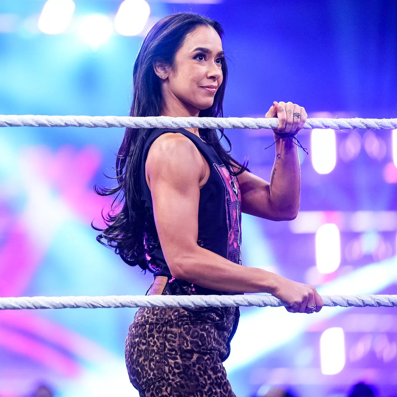 WWE Raw AJ Lee