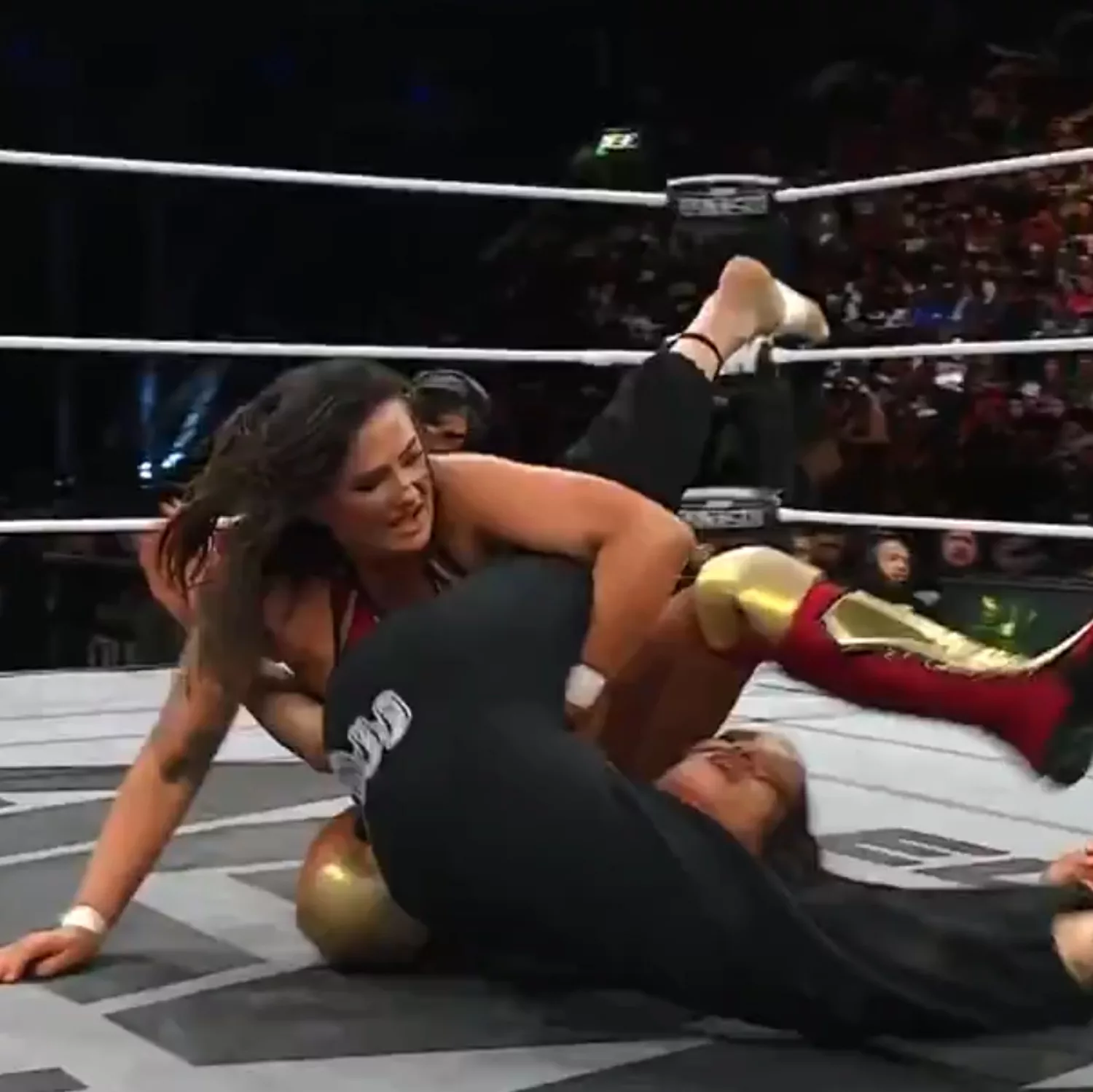 Alex Windsor Marina Shafir